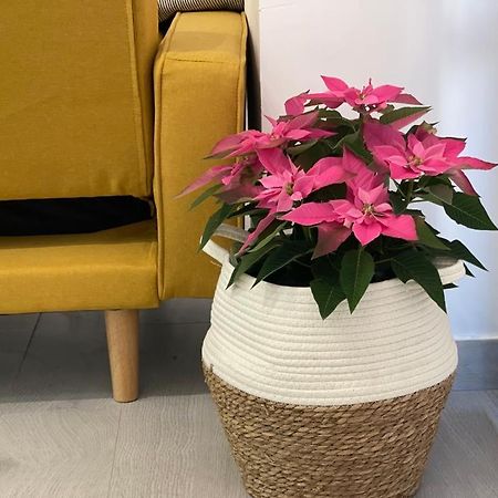 Nuevo Apartamento Folin Don Benito Eksteriør billede