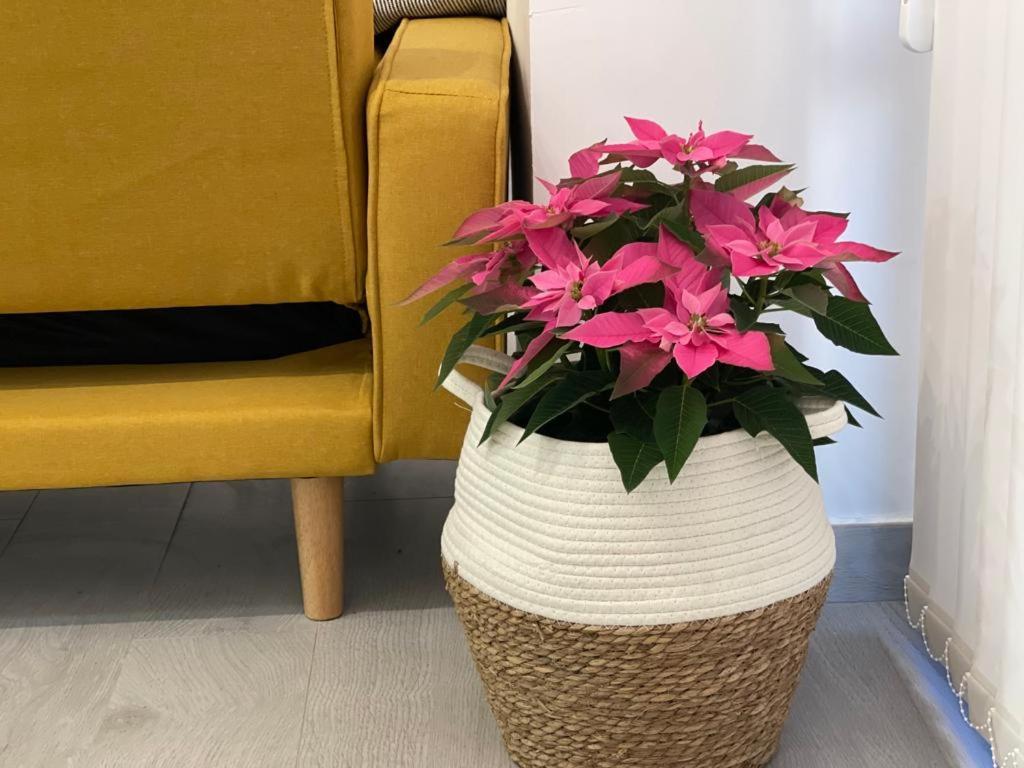 Nuevo Apartamento Folin Don Benito Eksteriør billede